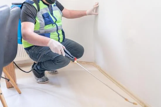 Ant control service on the floor