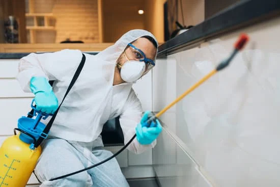 cockroach control service By hyd pest control
