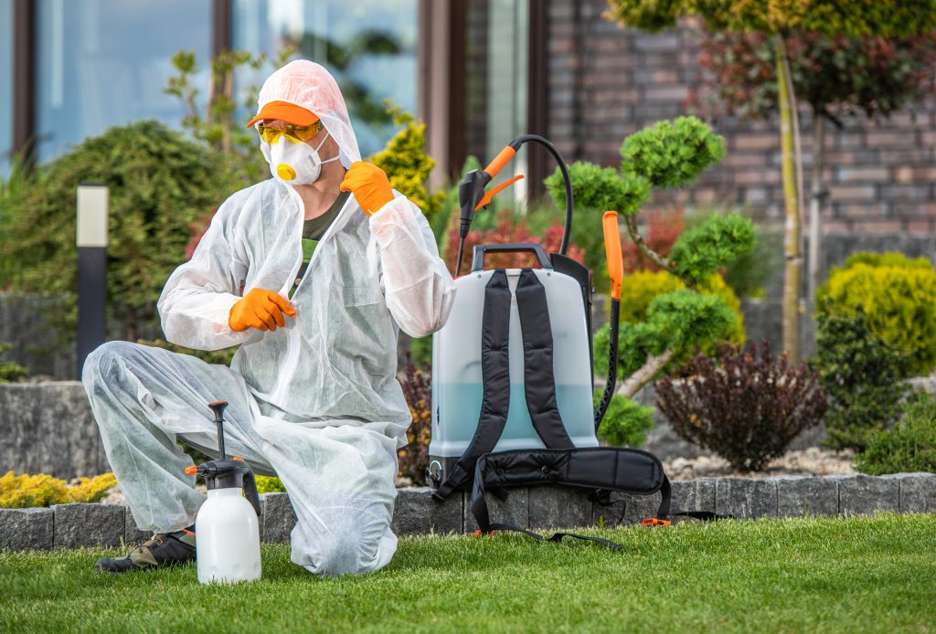 Pest Control Services in Hyderabd|Bed-Bug Control Services in Hyderabad