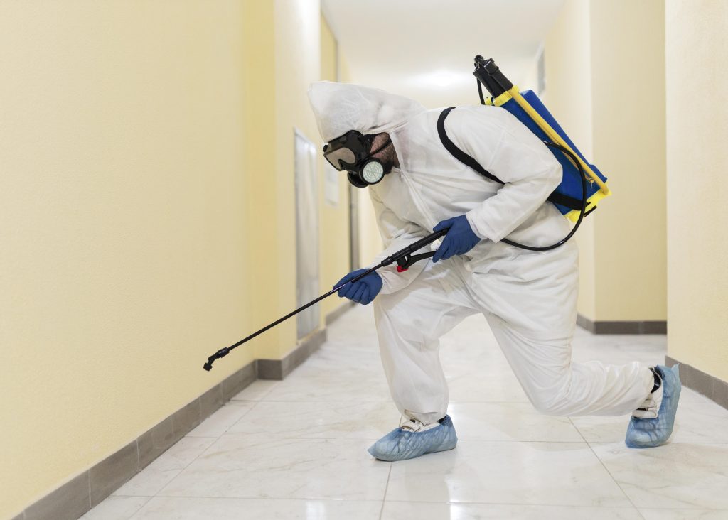 Pest Control Services in Hyderabd|Pest Control Services in Hyderabad