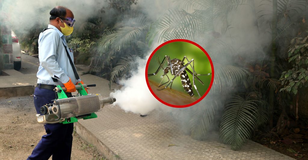 Pest Control Services in Hyderabd|Mosquito Control Services in Hyderabad